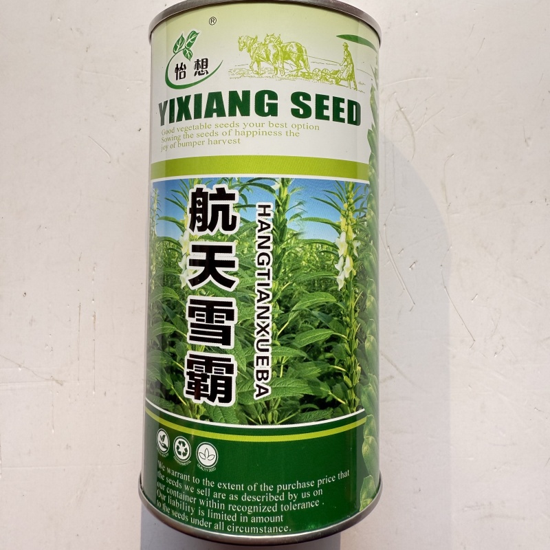 航天雪霸白芝麻种子春夏播单秆型芝麻种长势强不易倒伏产