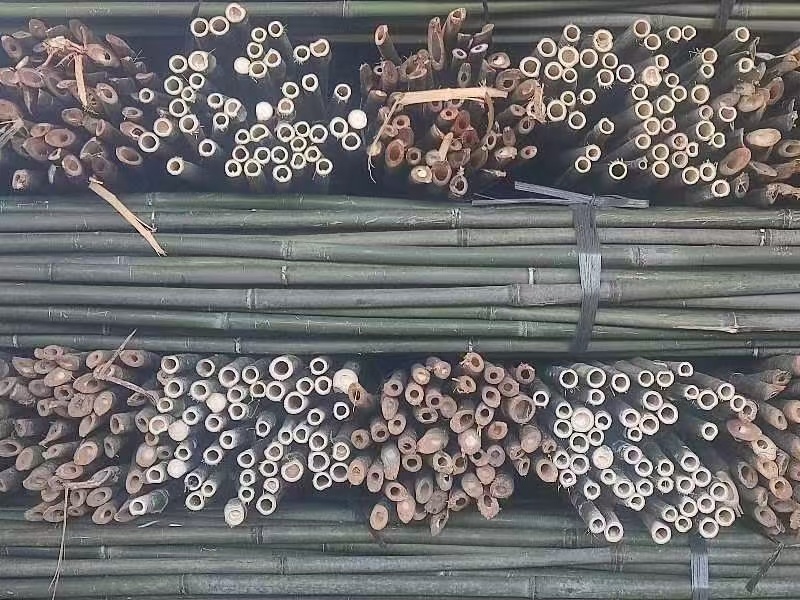 蔬菜竹杆菜架竹支撑杆豆角架黄瓜架冬瓜架西红柿架杆