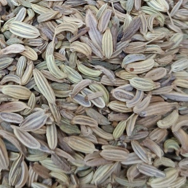 小茴香，各种香料，多种香料一起批发，有需要的老板放心联系