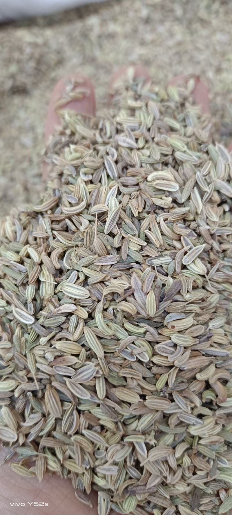 小茴香，各种香料，多种香料一起批发，有需要的老板放心联系