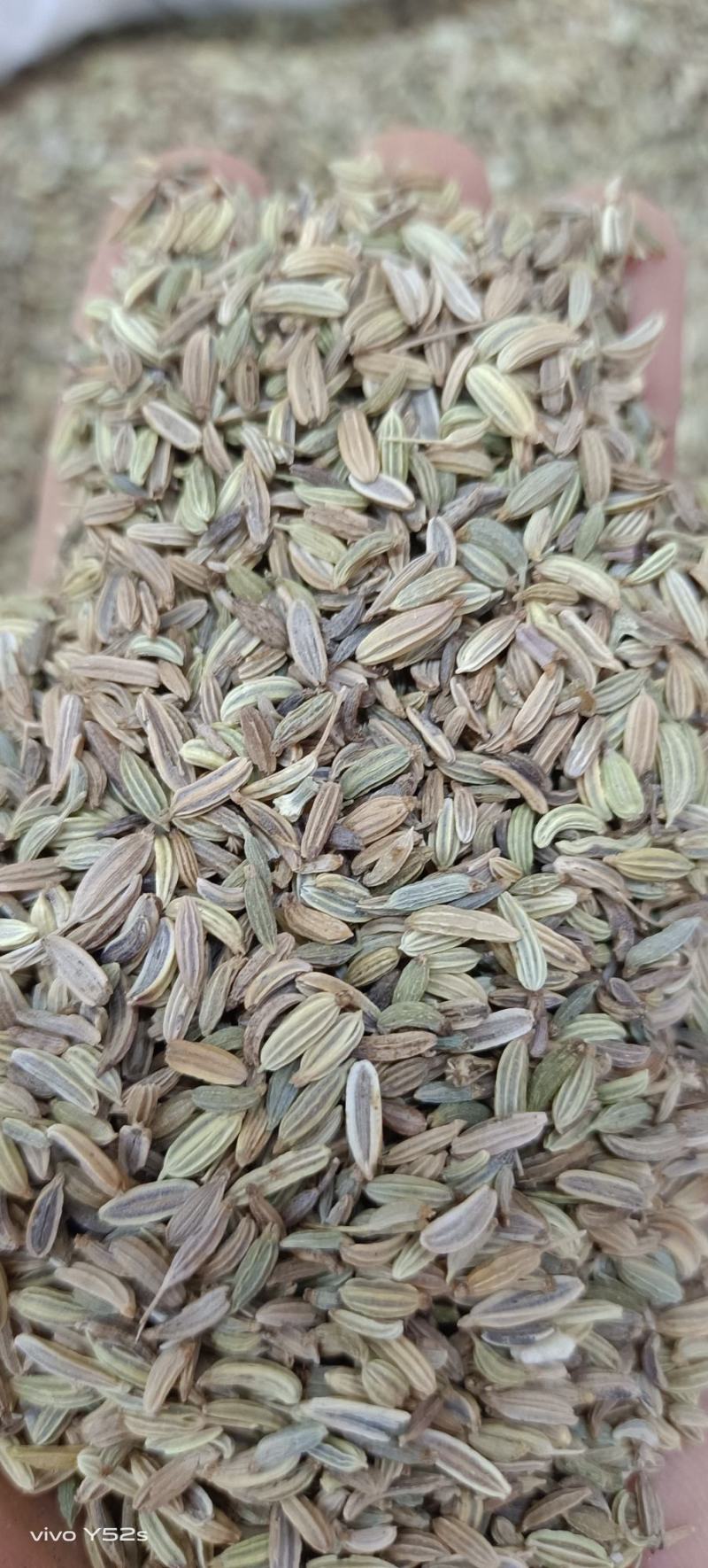 小茴香，各种香料，多种香料一起批发，有需要的老板放心联系