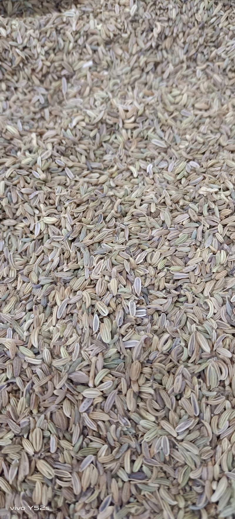 小茴香，各种香料，多种香料一起批发，有需要的老板放心联系