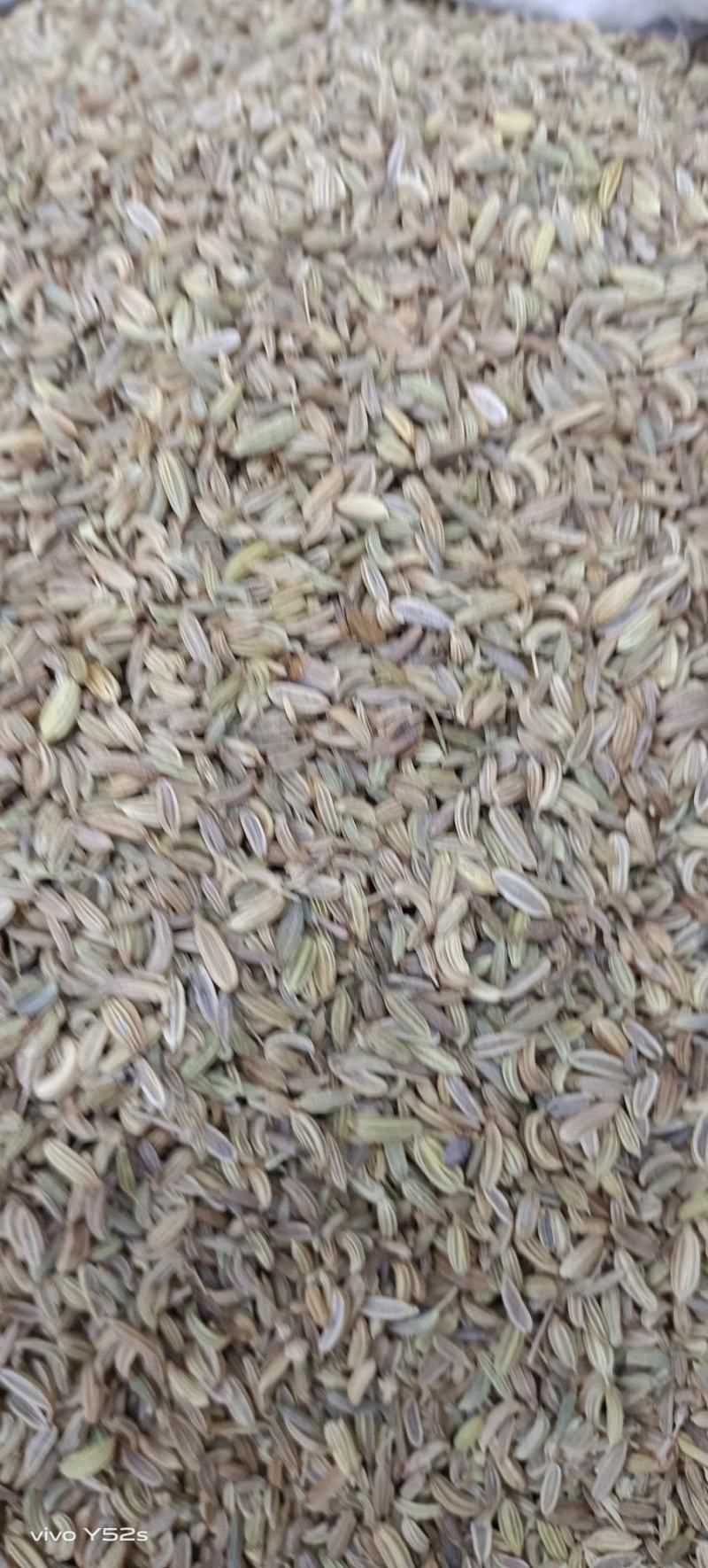 小茴香，各种香料，多种香料一起批发，有需要的老板放心联系