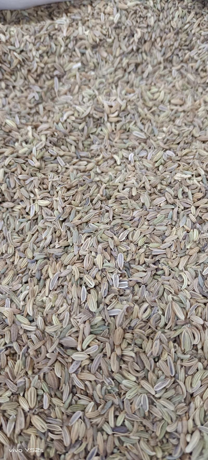 小茴香，各种香料，多种香料一起批发，有需要的老板放心联系