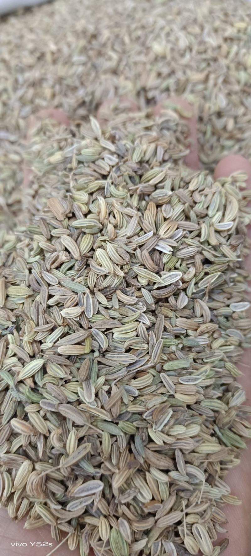 小茴香，各种香料，多种香料一起批发，有需要的老板放心联系