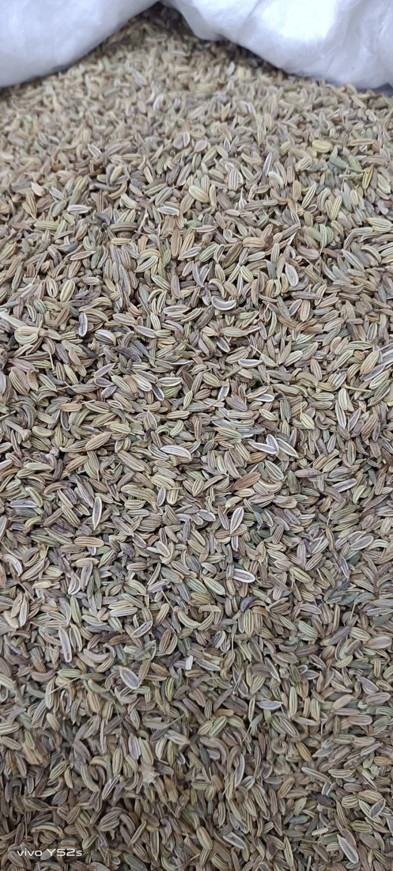 小茴香，各种香料，多种香料一起批发，有需要的老板放心联系