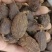 草果云南草果卤肉炖肉各种香料批发