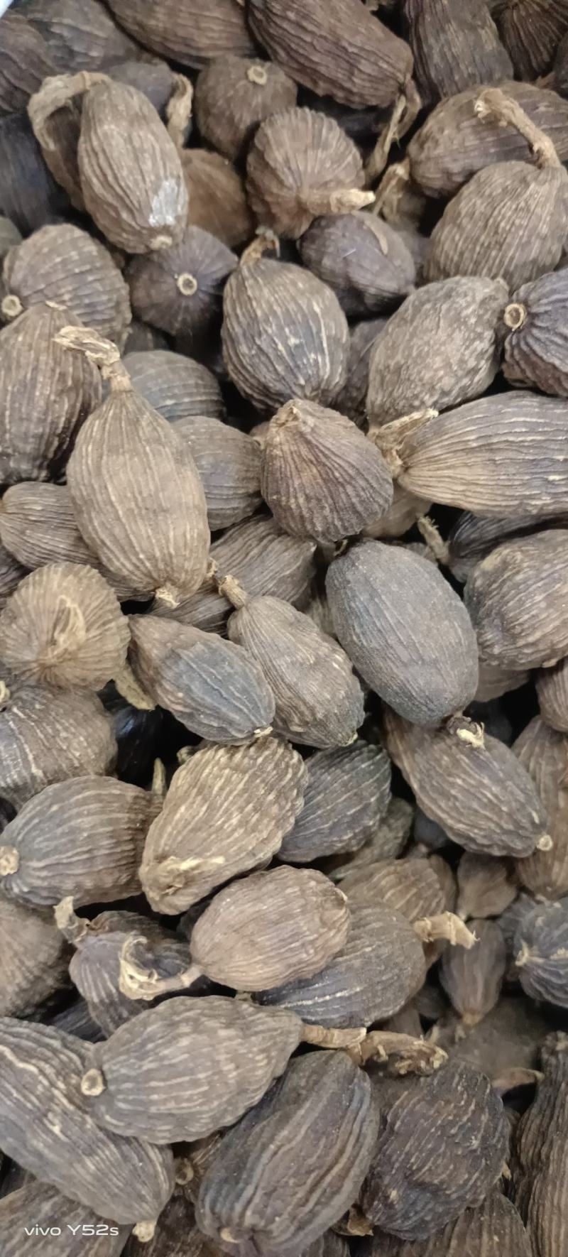 草果云南草果卤肉炖肉各种香料批发