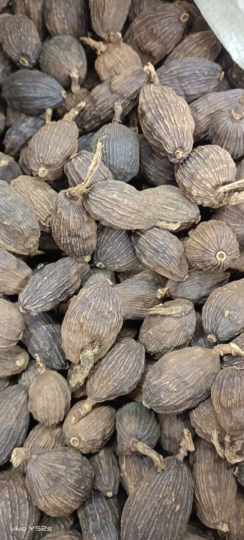 草果云南草果卤肉炖肉各种香料批发