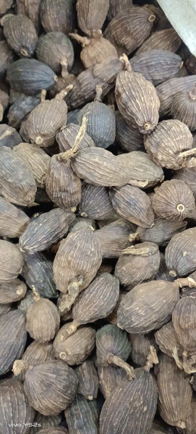 草果云南草果卤肉炖肉各种香料批发