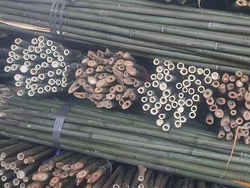 蔬菜竹杆菜架竹支撑杆豆角架黄瓜架冬瓜架西红柿架杆