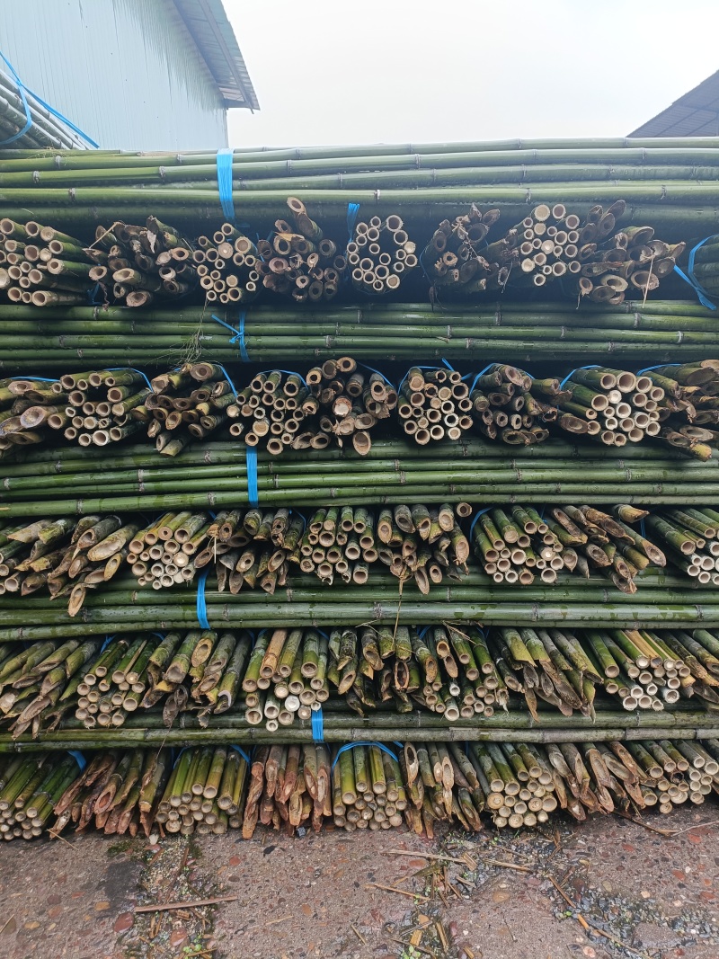 竹竿豆角架山药架辣椒杆菜架竹