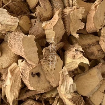 黄花倒水莲【包邮】各种规格有货可批量可零售量大从优
