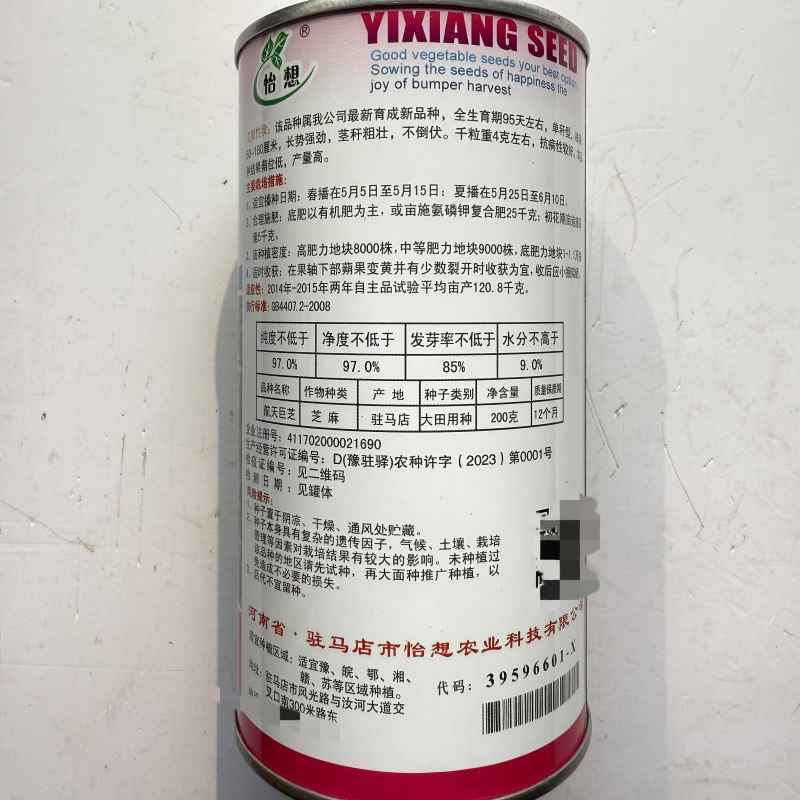航天巨芝白芝麻种子春夏播单秆型芝麻种长势强不易倒伏产