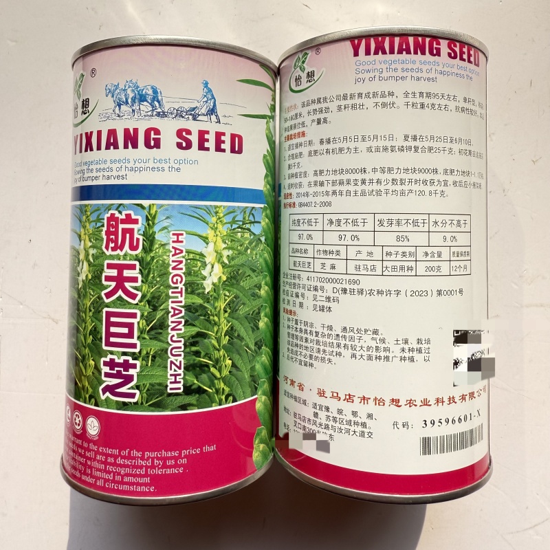 航天巨芝白芝麻种子春夏播单秆型芝麻种长势强不易倒伏产