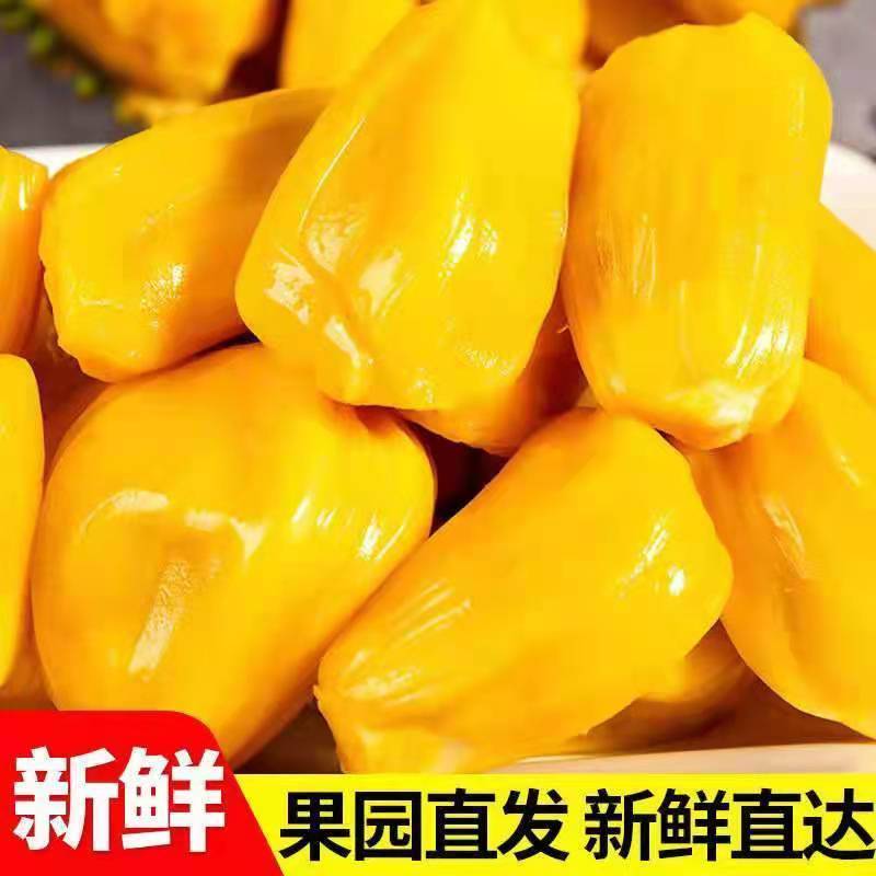 海南三亚黄肉菠萝蜜一整个新鲜水果当季波罗蜜整个假榴莲批发
