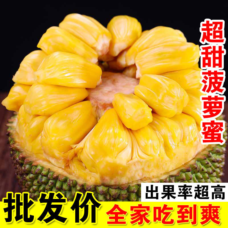 海南三亚黄肉菠萝蜜一整个新鲜水果当季波罗蜜整个假榴莲批发