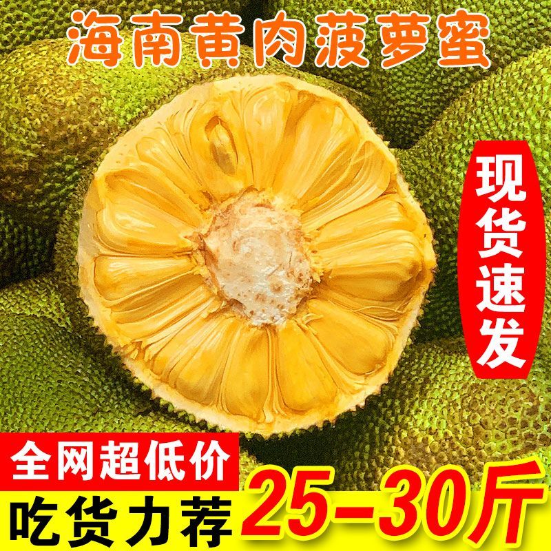 海南三亚黄肉菠萝蜜一整个新鲜水果当季波罗蜜整个假榴莲批发