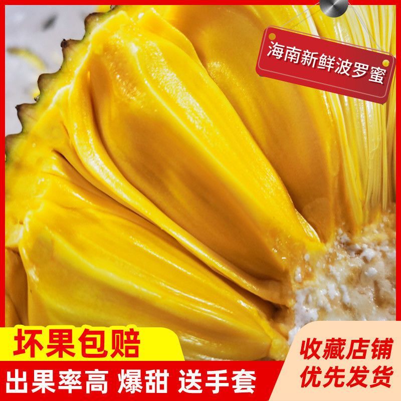 海南三亚黄肉菠萝蜜一整个新鲜水果当季波罗蜜整个假榴莲批发