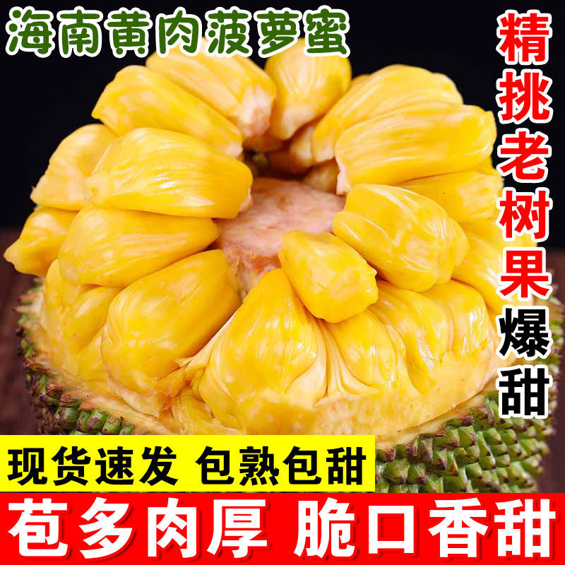 海南三亚黄肉菠萝蜜一整个新鲜水果当季波罗蜜整个假榴莲批发