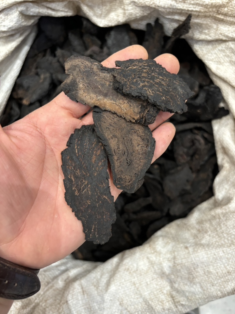 肉苁蓉阿拉善野生肉苁蓉沙漠黄金滋补珍品天然无污染品质保证