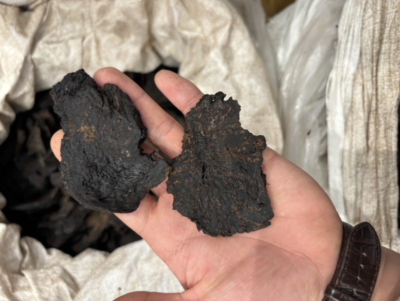 肉苁蓉阿拉善野生肉苁蓉沙漠黄金滋补珍品天然无污染品质保证