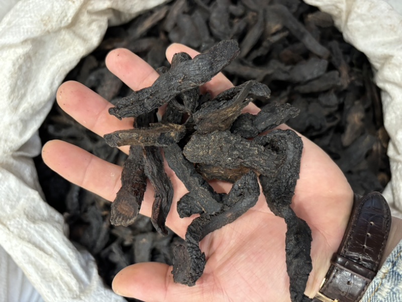肉苁蓉阿拉善野生肉苁蓉沙漠黄金滋补珍品天然无污染品质保证