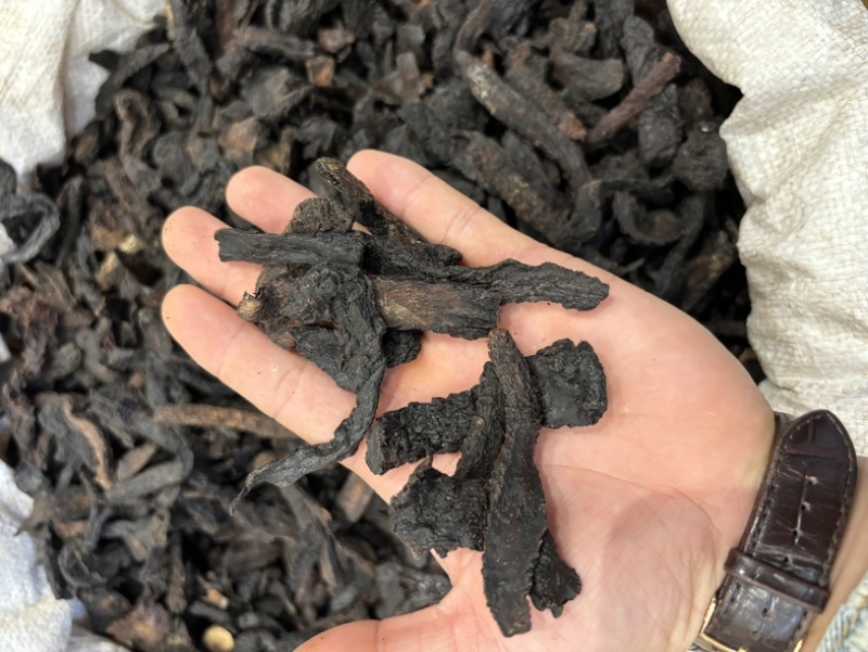 肉苁蓉阿拉善野生肉苁蓉沙漠黄金滋补珍品天然无污染品质保证