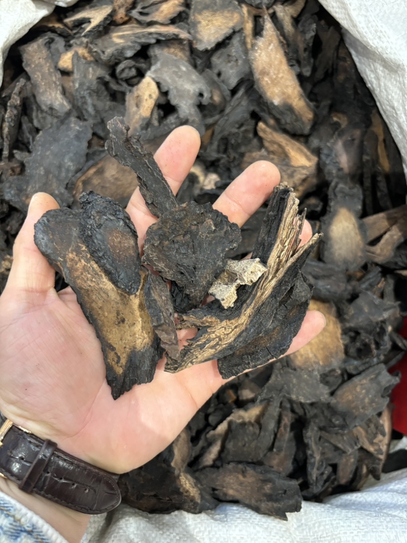 肉苁蓉阿拉善野生肉苁蓉沙漠黄金滋补珍品天然无污染品质保证