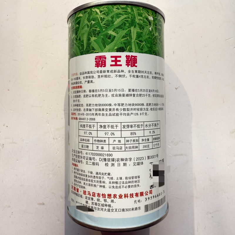 霸王鞭白芝麻种子单秆型芝麻种子长势强茎秆粗壮抗倒伏产