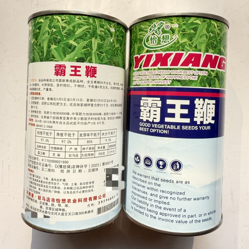 霸王鞭白芝麻种子单秆型芝麻种子长势强茎秆粗壮抗倒伏产