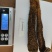 肉苁蓉阿拉善野生肉苁蓉沙漠黄金滋补珍品天然无污染品质保证