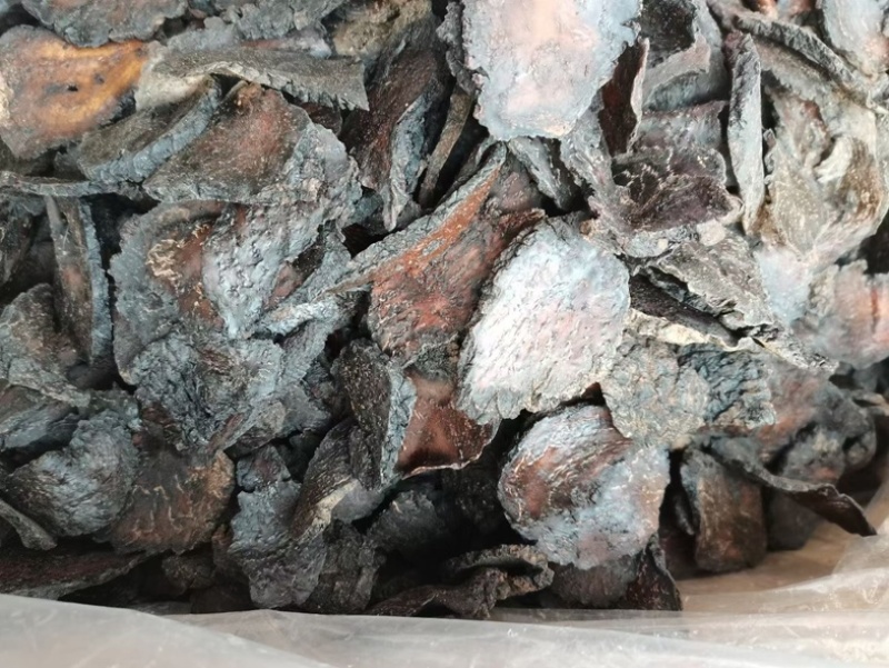 肉苁蓉阿拉善野生肉苁蓉沙漠黄金滋补珍品天然无污染品质保证