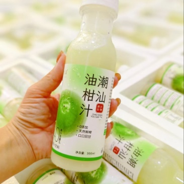 广东省普宁市潮汕地区油甘冬甘供应商