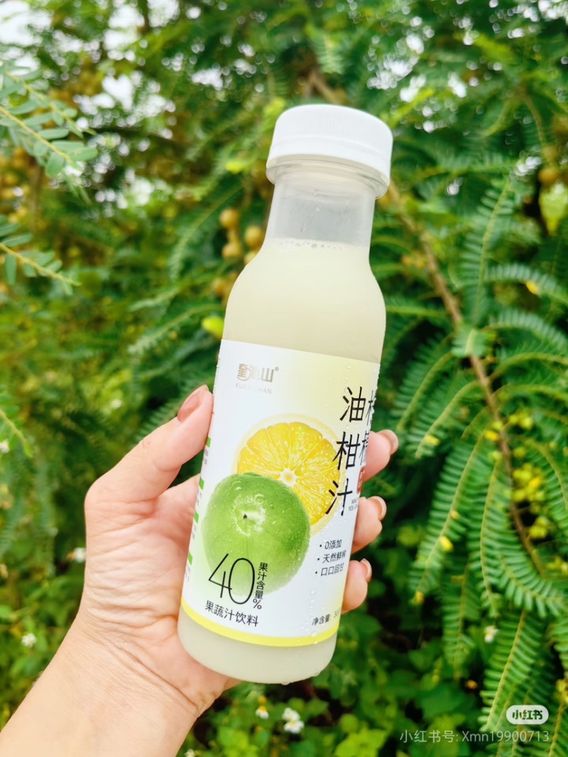 广东省普宁市潮汕地区油甘冬甘供应商