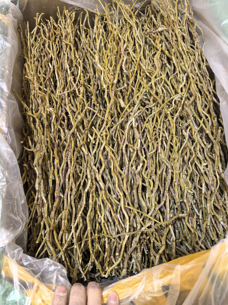 铁皮石斛条干地摊电商批发石斛粒石斛干条枫斗寸条石斛干
