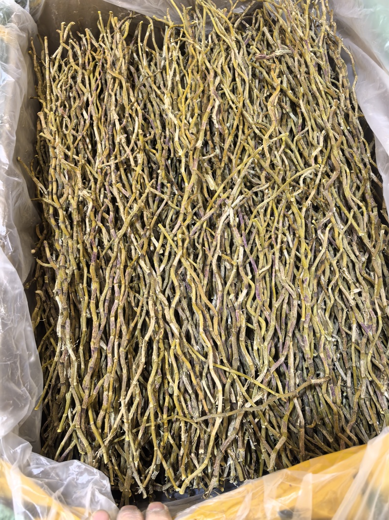 铁皮石斛条干地摊电商批发石斛粒石斛干条枫斗寸条石斛干