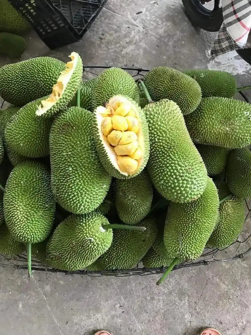 榴莲蜜