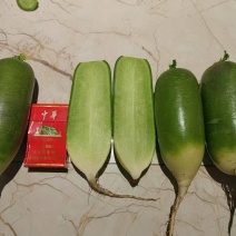 水果萝卜。还有七八百吨。倒库出货。