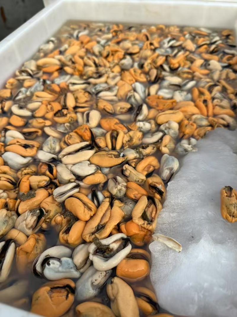 大家好，海虹大量批发，需要的老板咨询订单，一手货源，码头