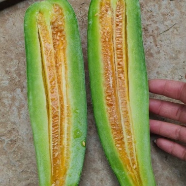 精品羊角蜜，星甜，博洋，小糖丸品类齐全大量上市。
