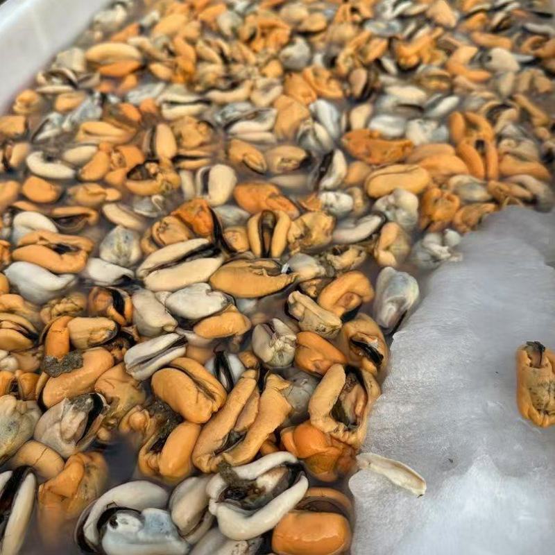 海虹肉(贻贝)粿粒大量上市了，需要的老板赶紧联系我，一手