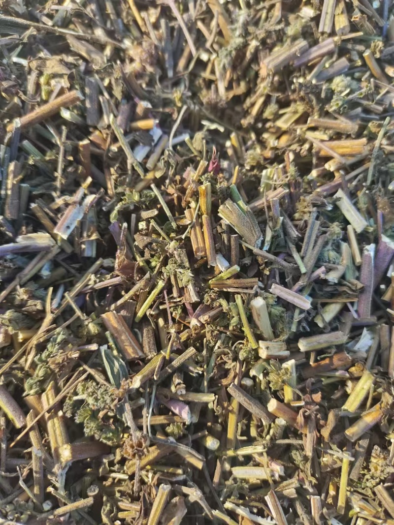 荆芥荆芥穗全荆芥段新货颜色绿无硫人工手剪穗