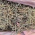 荆芥荆芥穗全荆芥段新货颜色绿无硫人工手剪穗