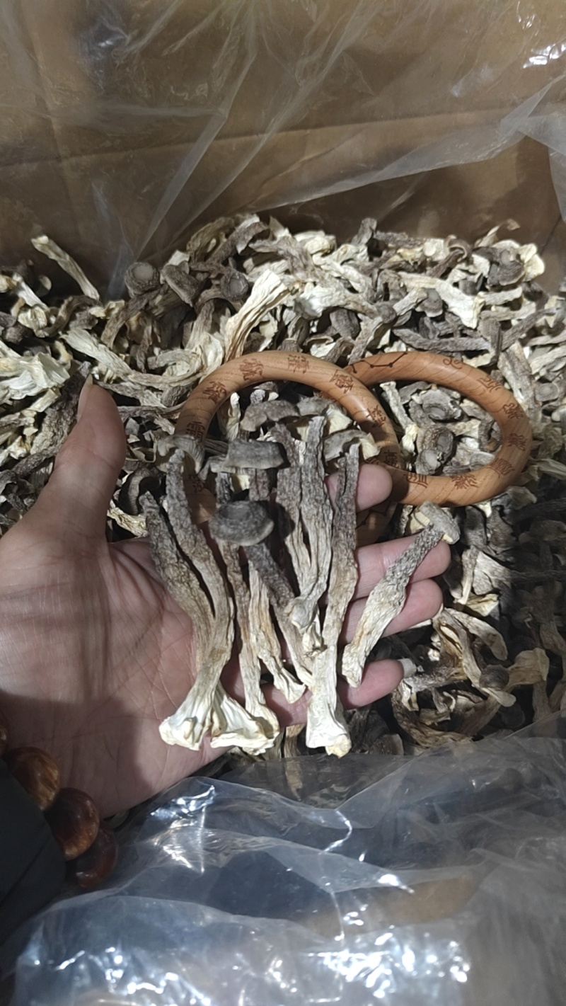 大厂鹿茸菇特级精品如意情鸿升农发各个档次