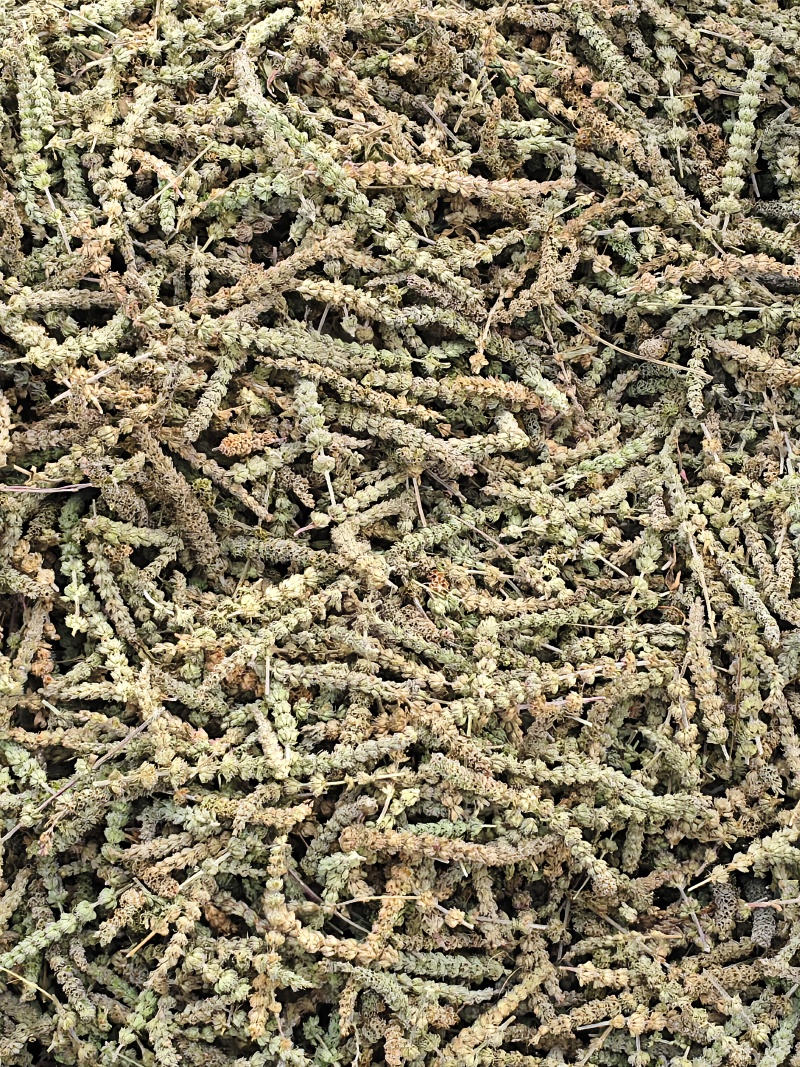 荆芥荆芥穗全荆芥段新货颜色绿无硫人工手剪穗