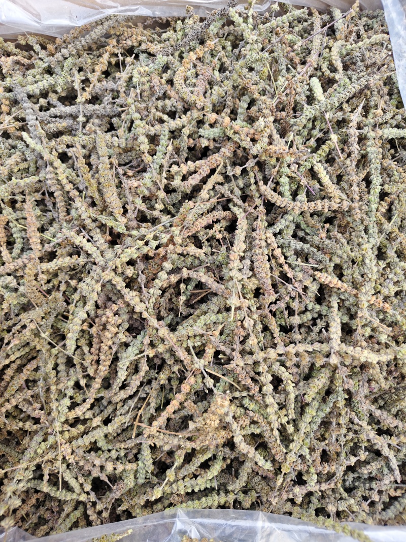 荆芥荆芥穗全荆芥段新货颜色绿无硫人工手剪穗