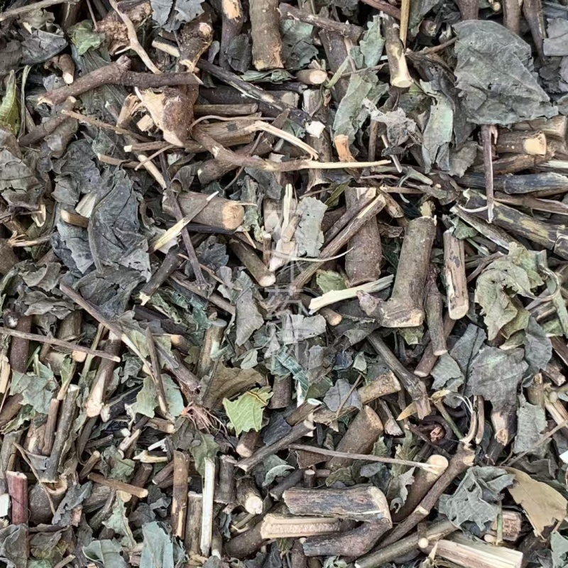 大青叶【包邮】三斤起发货可批量可零售量大从优