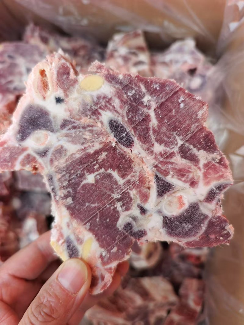 羊蝎子