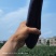 广东湛江烧烤茄